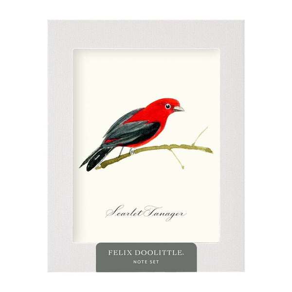 Felix Doolittle - Songbirds -- Note Set - Bird themed cards, boxed