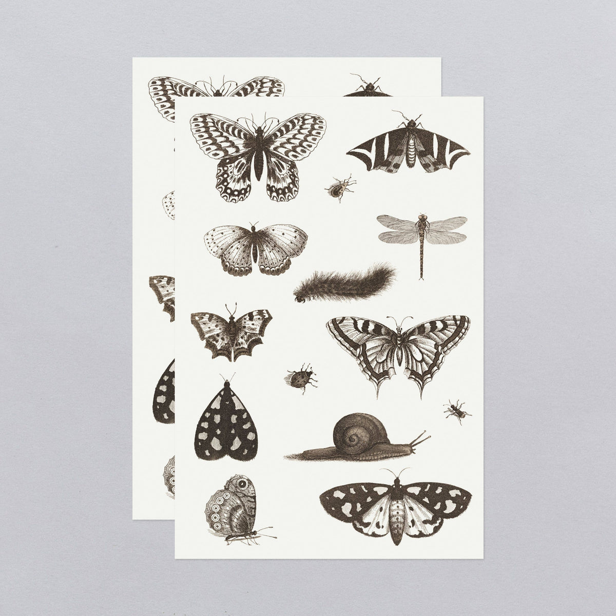 Tattly - NGA Insects Tattoo Sheet
