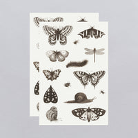 Tattly - NGA Insects Tattoo Sheet