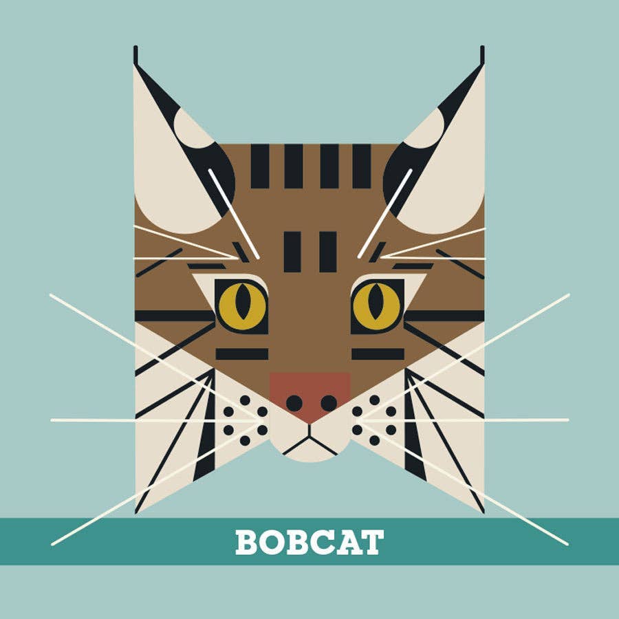 Charley Harper’s Animals Memory Game