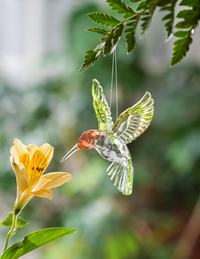 Red Throated Hummingbird Ornament