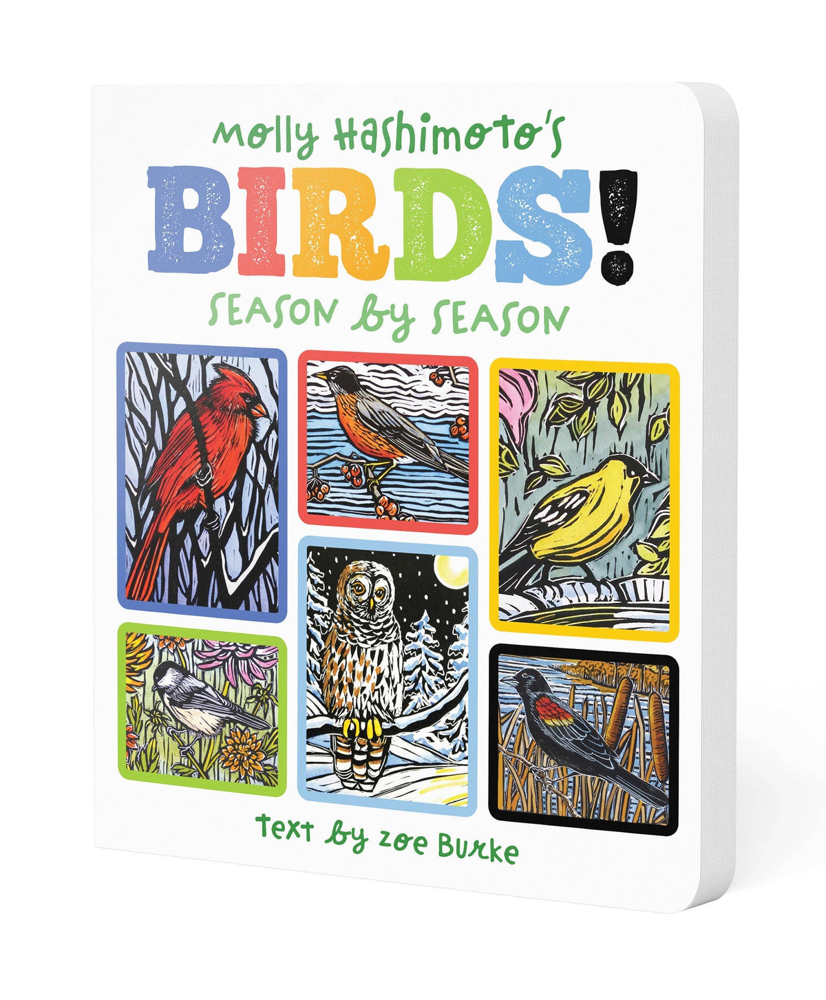 Molly Hashimoto’s Birds! Season by Season Board Book