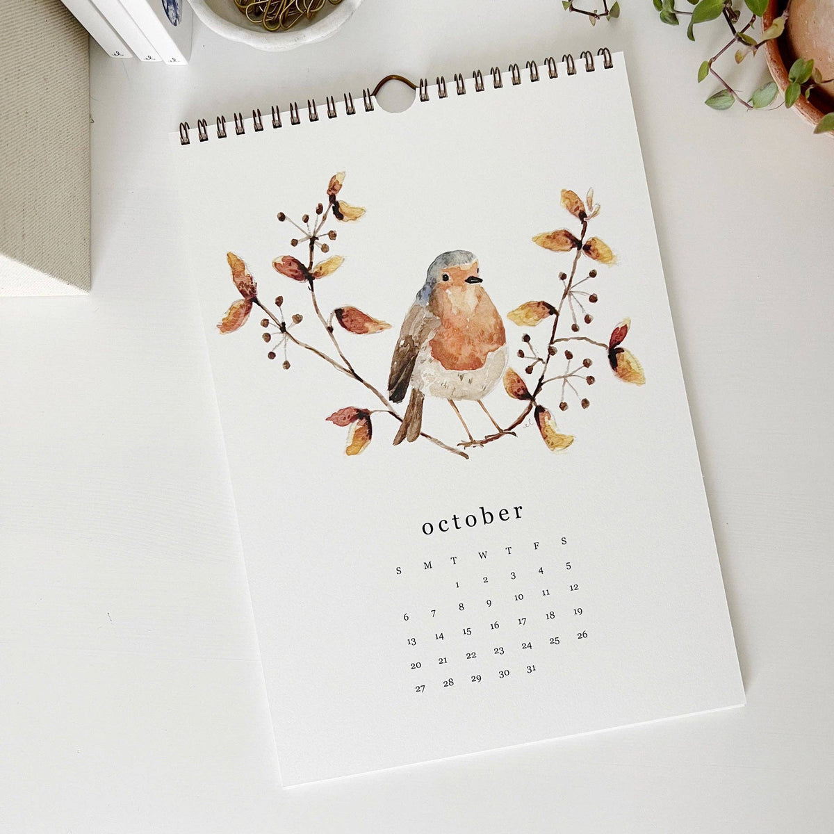 emily lex studio - 2024 birds & branches wall calendar