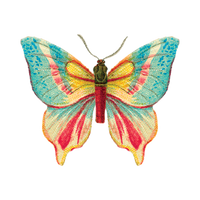 Tattly - Butterfly 2 Tattoo Pair