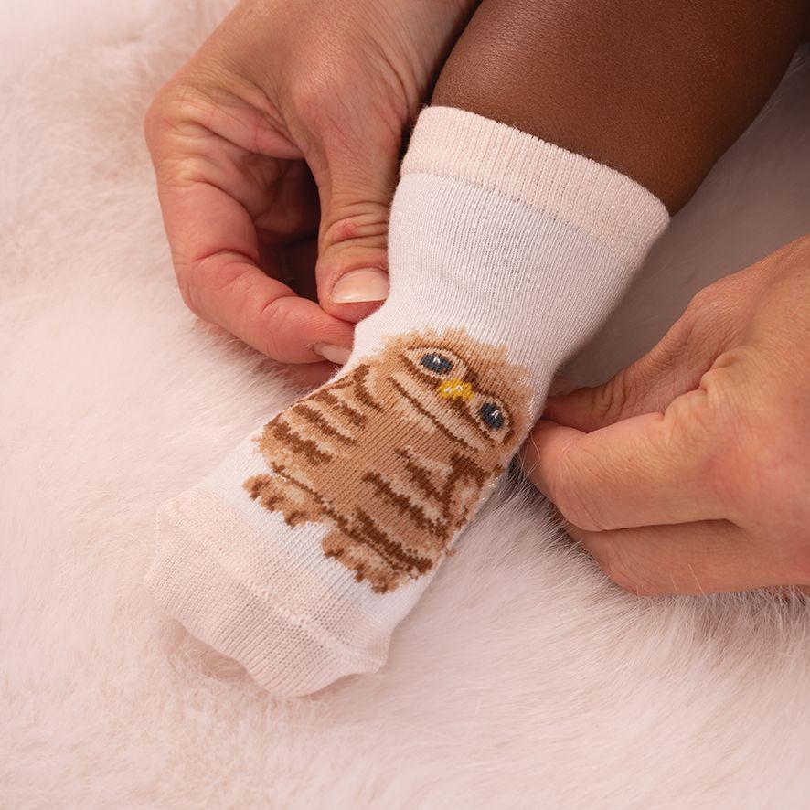 Wrendale Little Forest Baby Socks