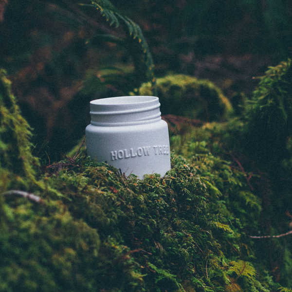 Hollow Tree Candle Co - The Lions Candle - 9oz Ceramic Jar