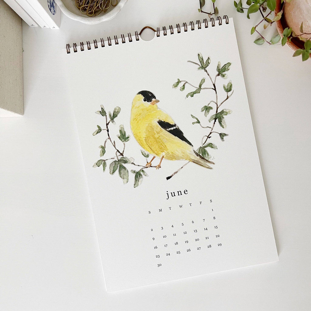 emily lex studio - 2024 birds & branches wall calendar