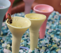 Pastel Bee Vision Variety Bee Cups