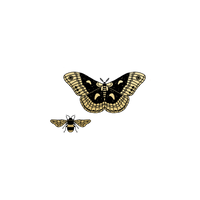 Tattly - Winged Duo Pair MTL