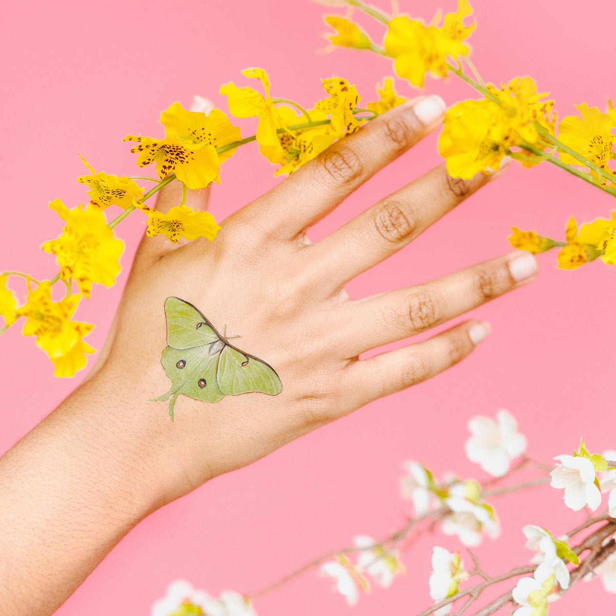 Tattly - Tiny Butterfly Tattoo Tin