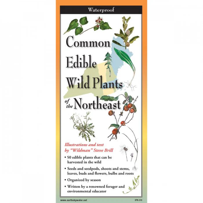 Common Edible Wild Plants of the Northeast - Folding Guide