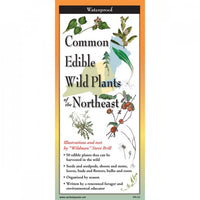 Common Edible Wild Plants of the Northeast - Folding Guide