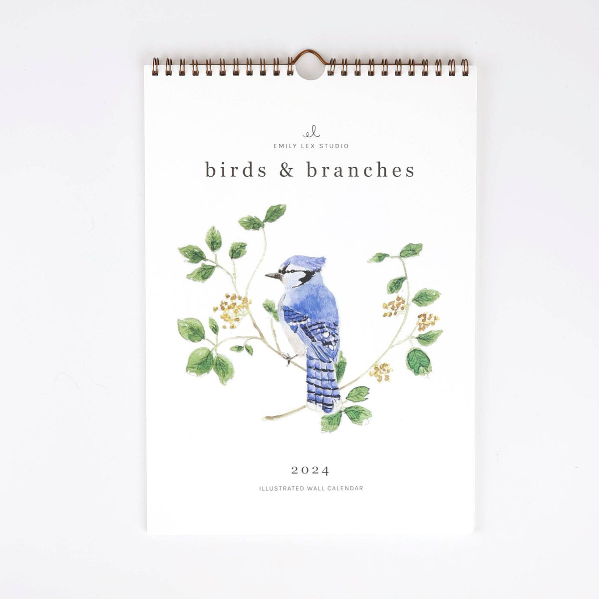 emily lex studio - 2024 birds & branches wall calendar