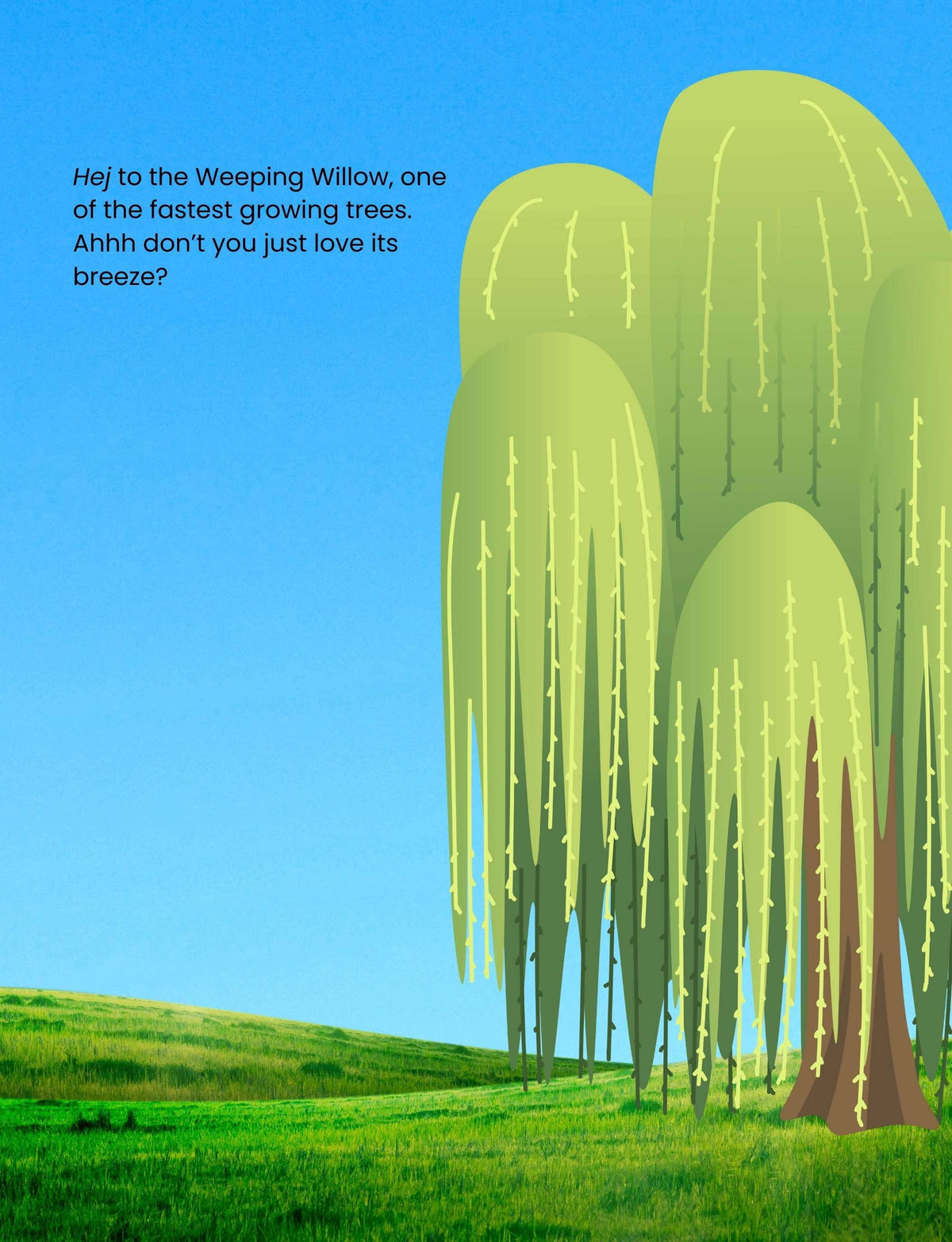 Doodle Paw Press - Hello Plants- Educational Colouring Book.