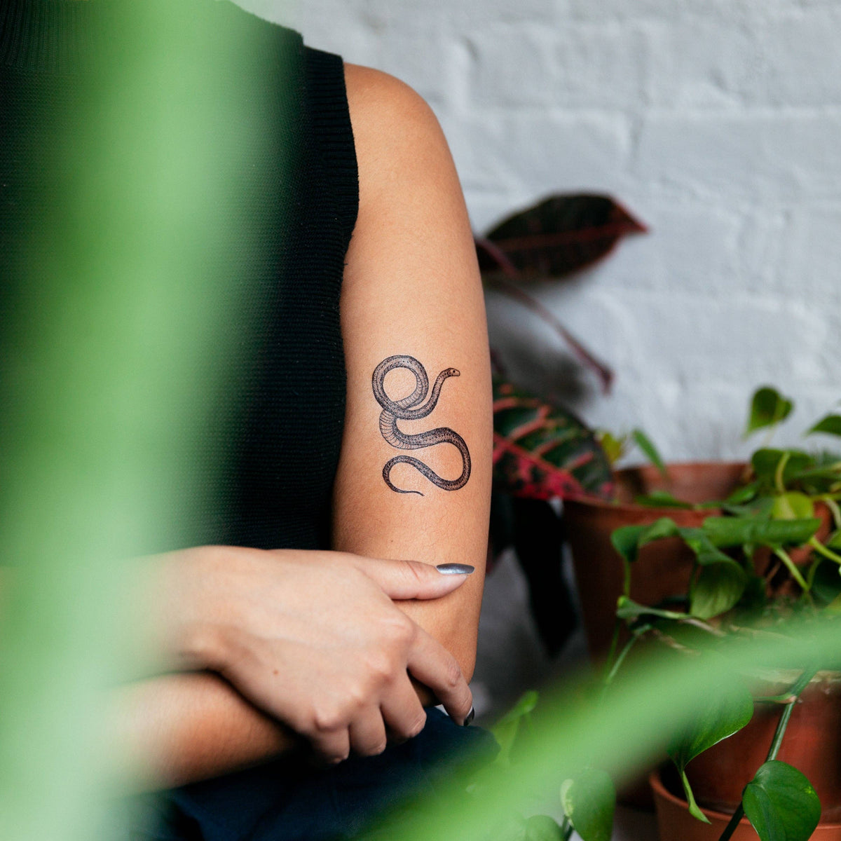 Tattly - Flora and Fauna Tattoo Set