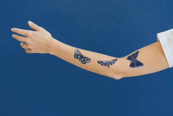 Tattly - Sapphire Moths Tattoo Pair