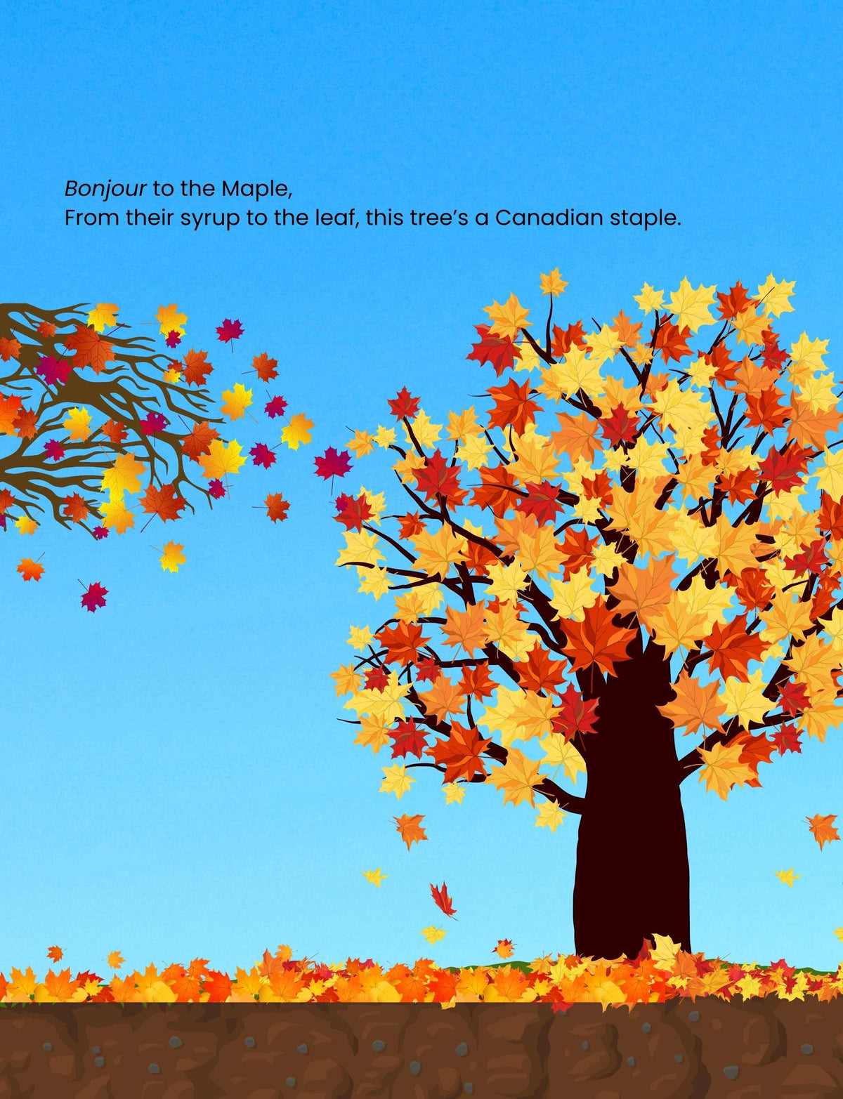 Doodle Paw Press - Hello Plants- Educational Colouring Book.