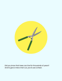 Doodle Paw Press - Hello Plants- Educational Colouring Book.