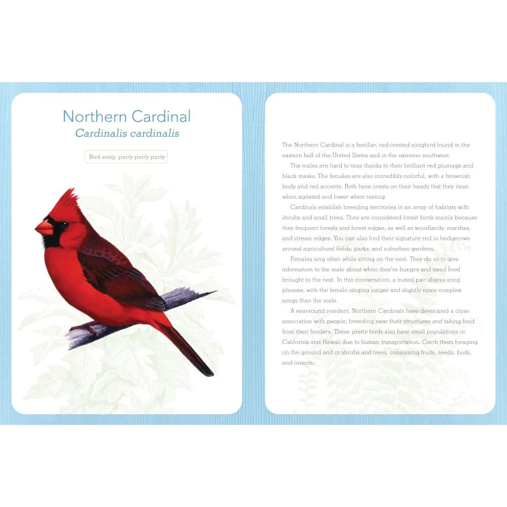 Birds of North America: Weekly Planner