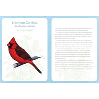 Birds of North America: Weekly Planner