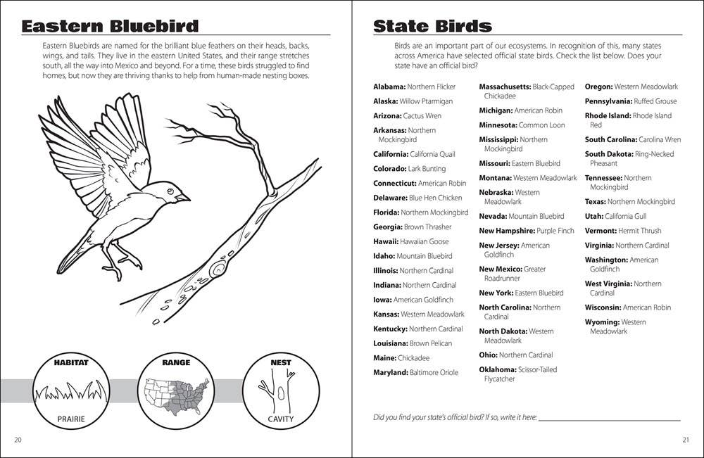 AdventureKEEN - Birds & Friends Activity Book