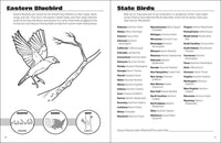 AdventureKEEN - Birds & Friends Activity Book