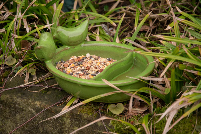 Bird Feeding And Drinking Bowl