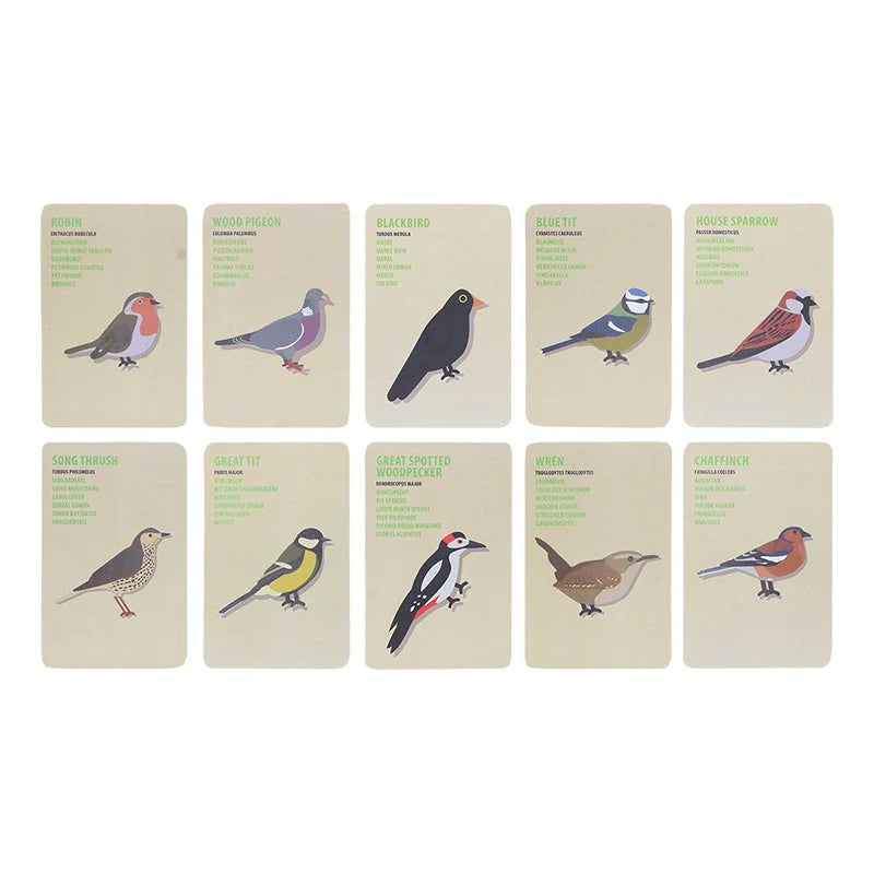 Little Explorer Bag - Birders