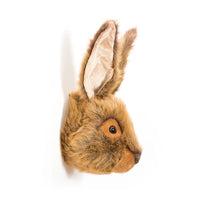 Lewis the Hare - Large Head