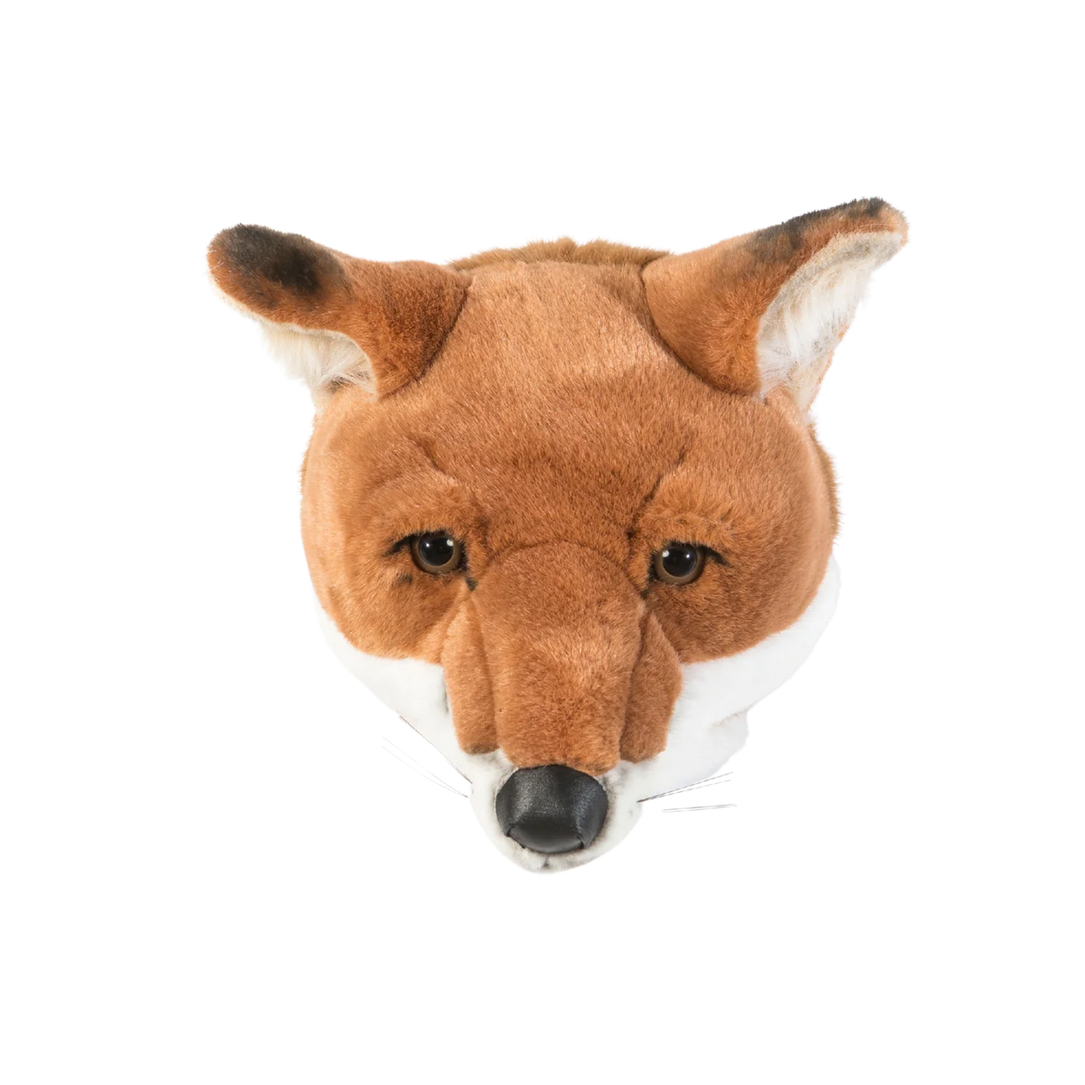 Louis the Fox - Large Head