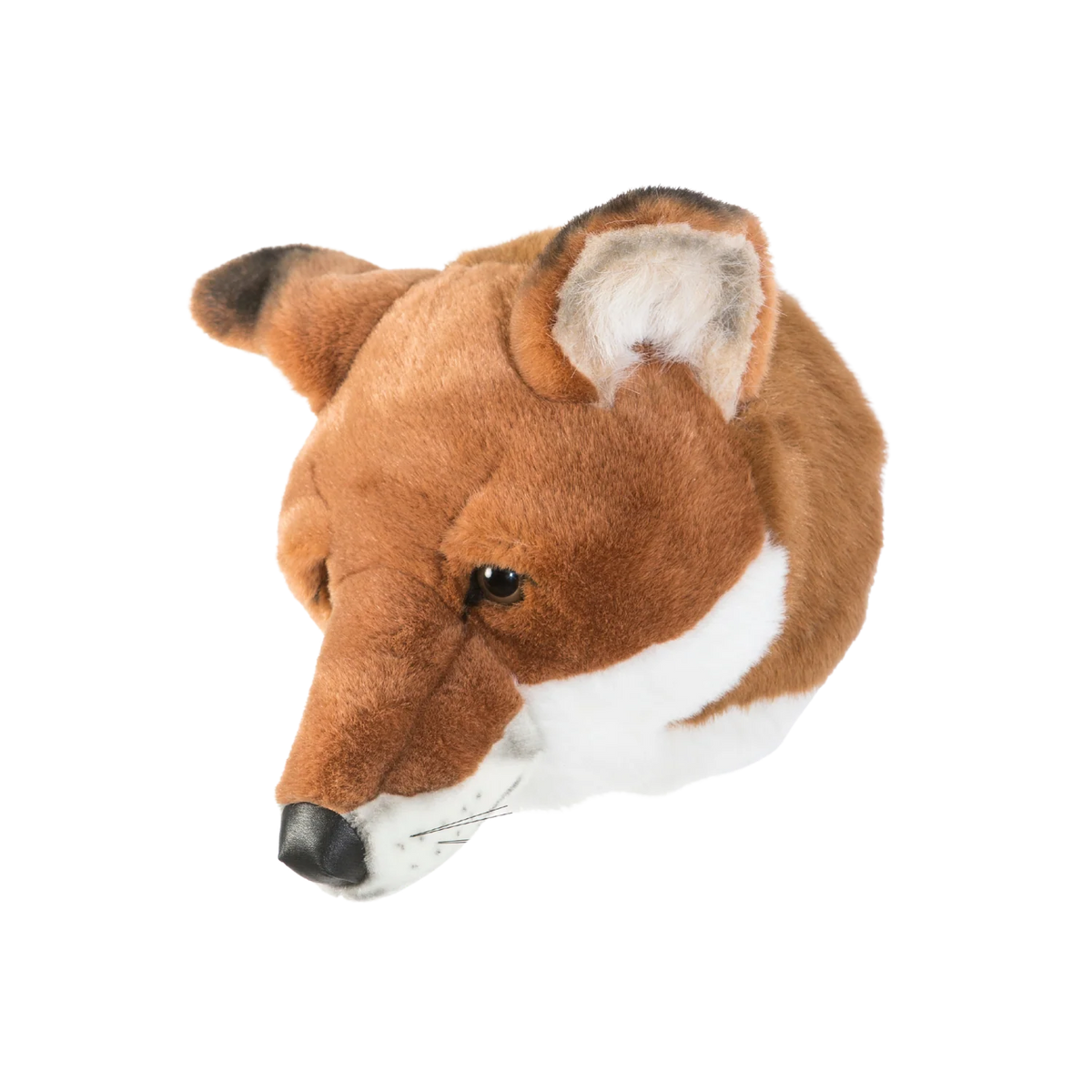 Louis the Fox - Large Head