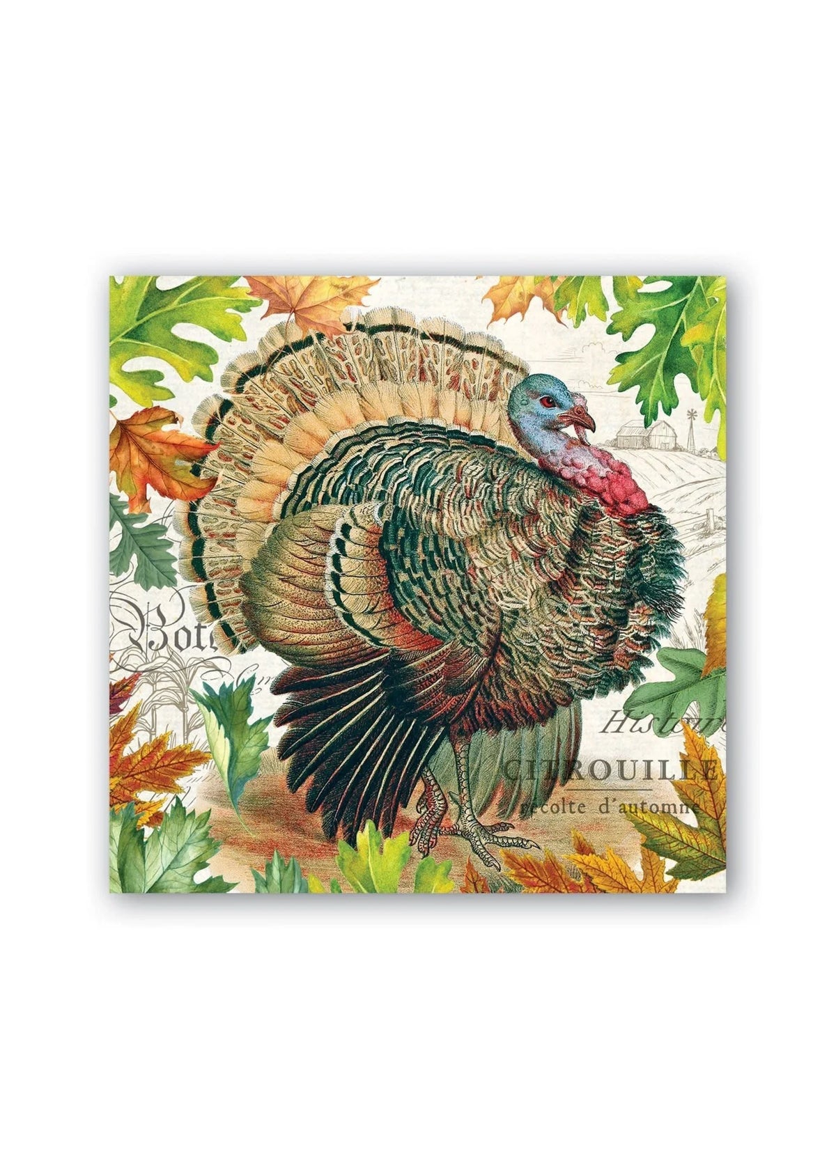 Fall Harvest Turkey Cocktail Napkin