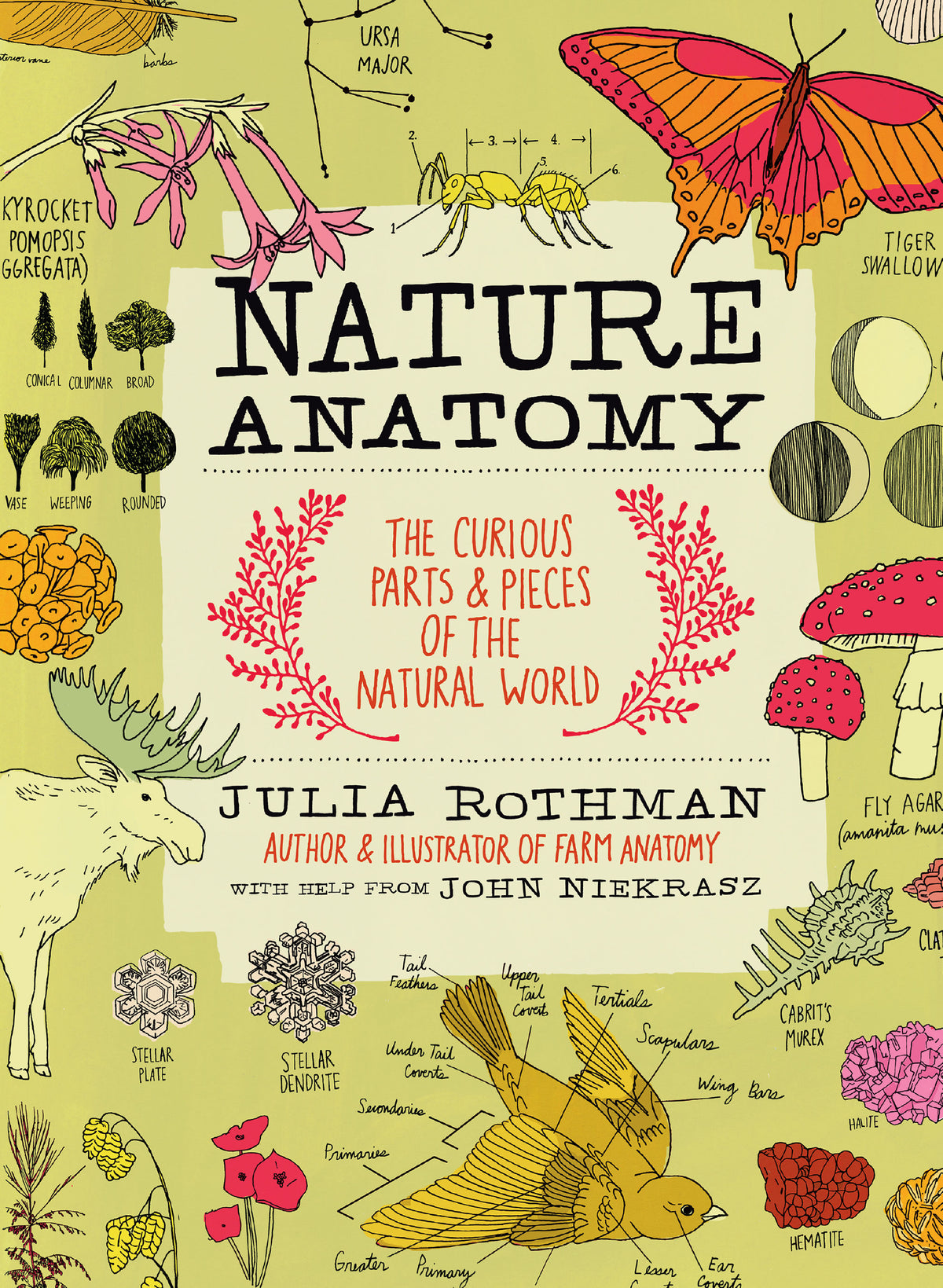 Nature Anatomy Book