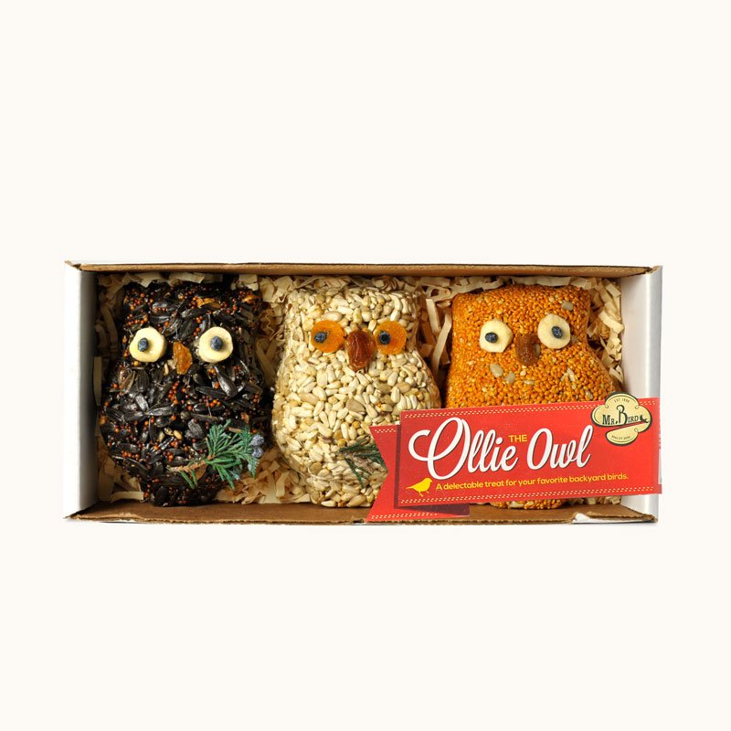 Seed Owls -Set of 3