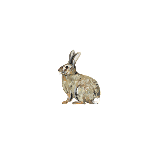 Bunny Rabbit Tattoo Pair