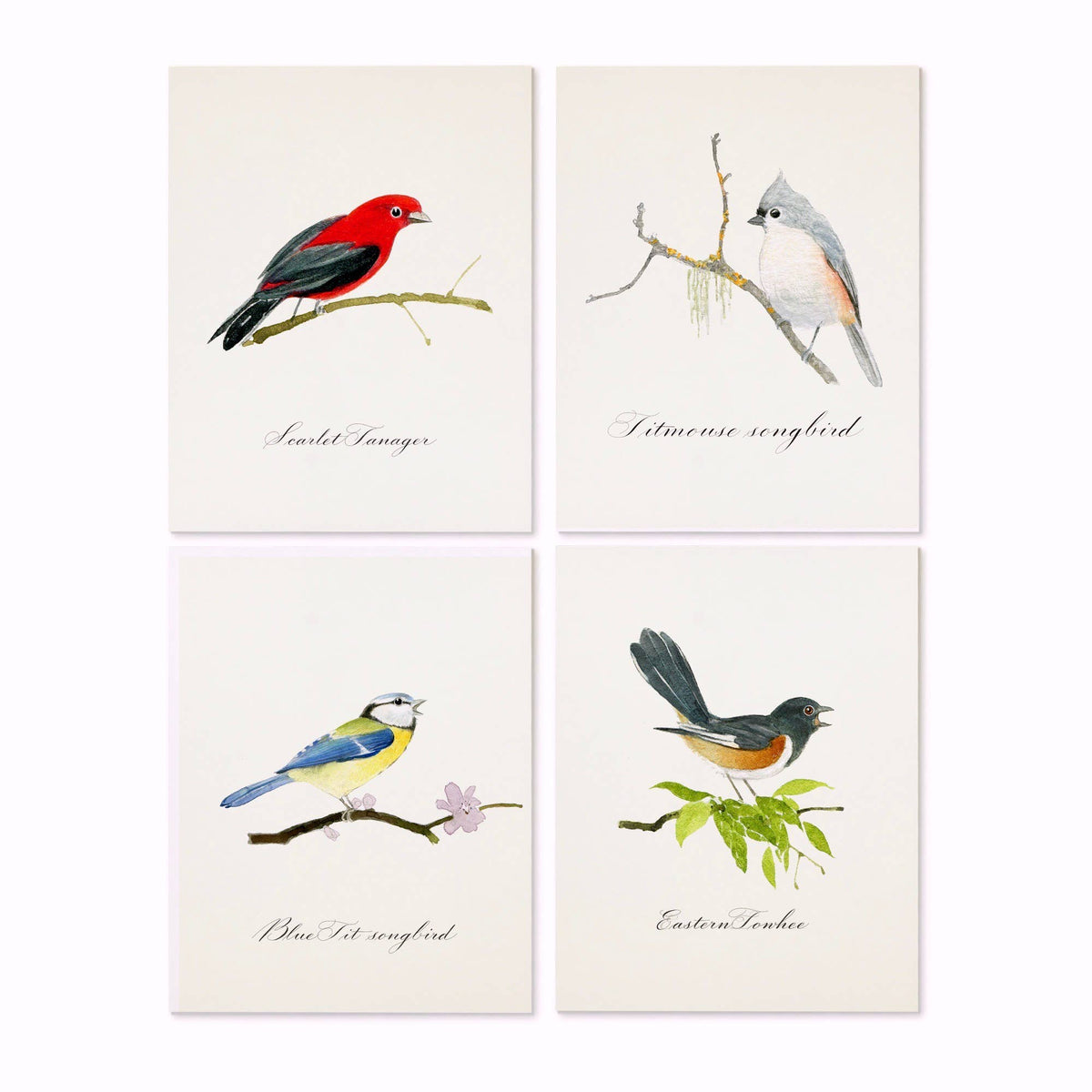 Felix Doolittle - Songbirds -- Note Set - Bird themed cards, boxed