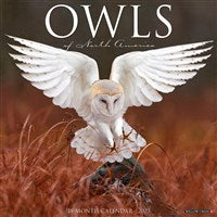 2023 Owls Wall Calendar