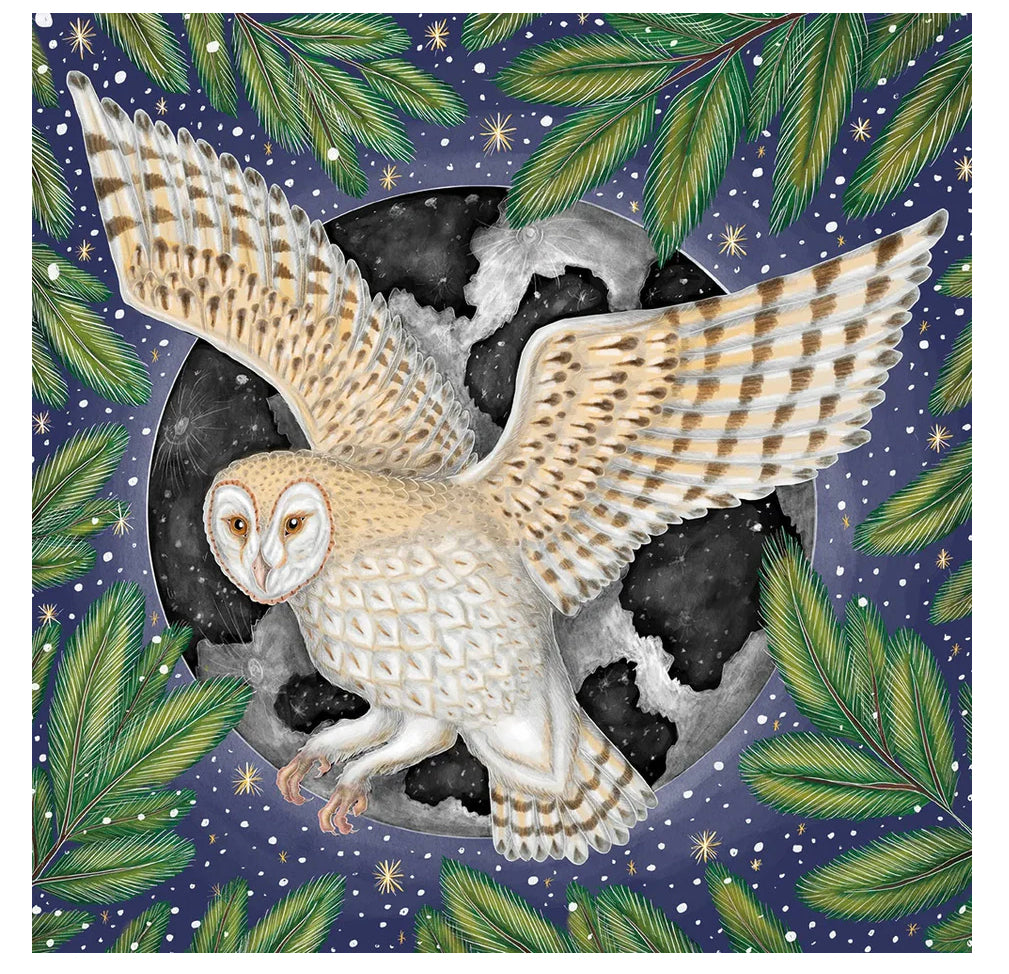 Moonlit Owl Boxed Cards