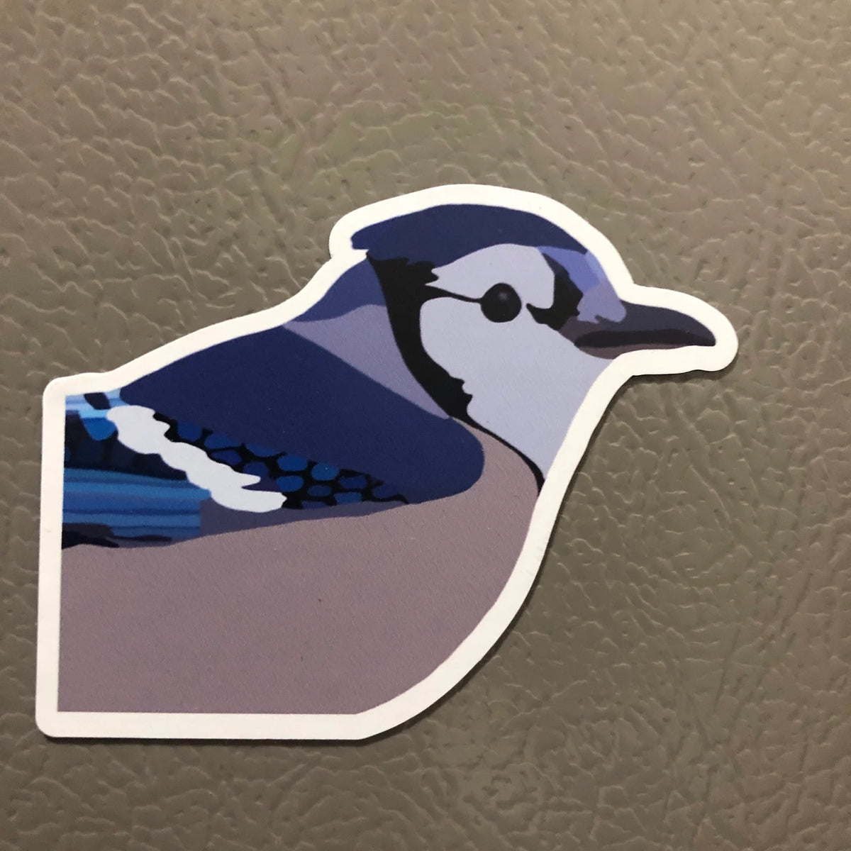 Wild Bird Magnets