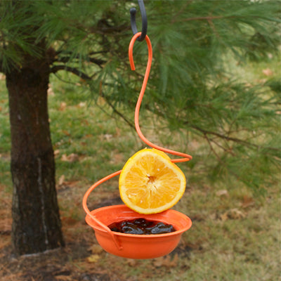 Orange Oriole Metal Jelly Feeder