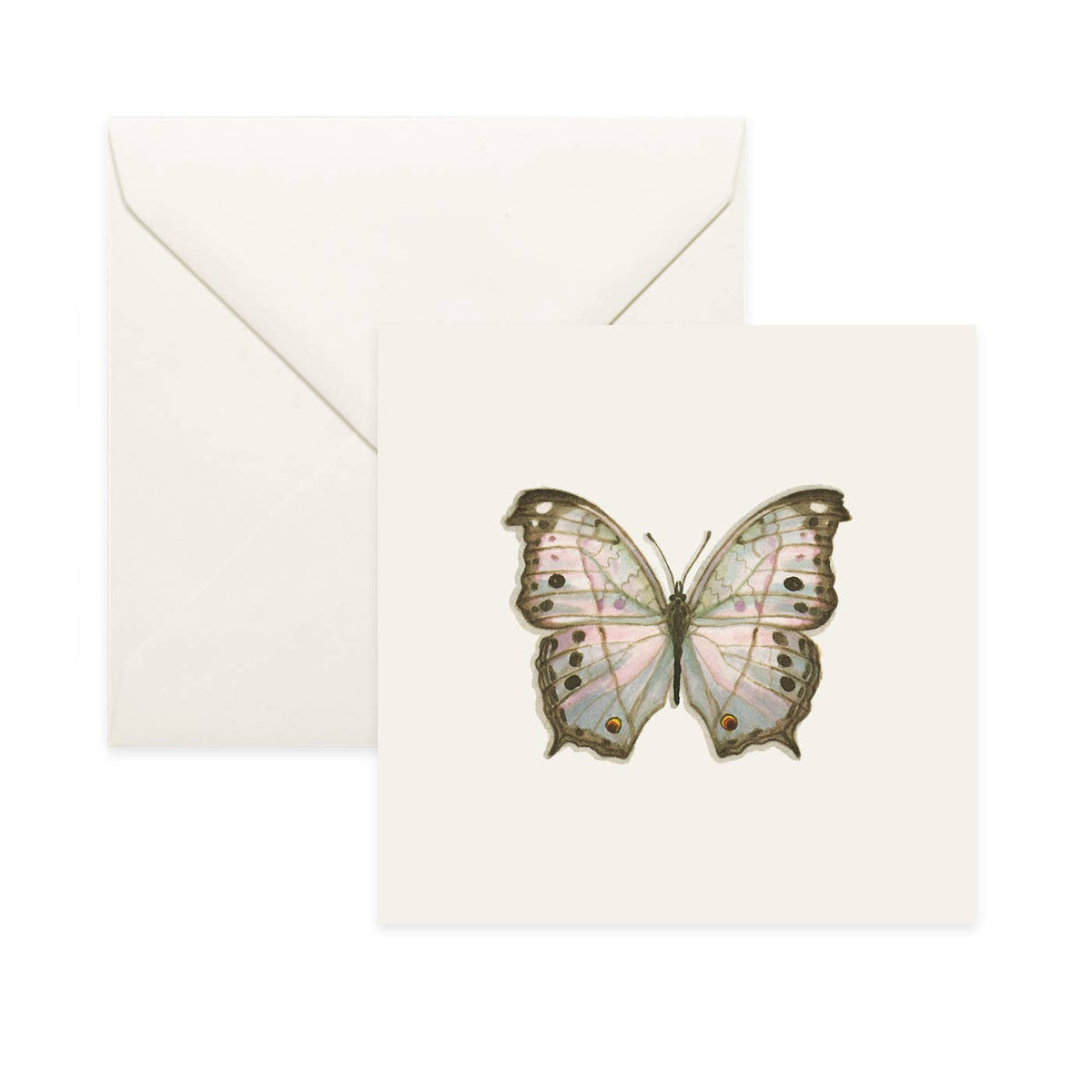 Yeesan Loh - Butterflies & Moths / Card Mother-of-Pearl