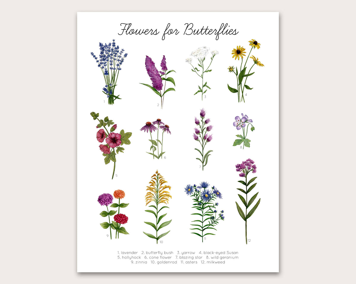 Stephanie Hathaway Designs - Flowers for Butterflies Art Print