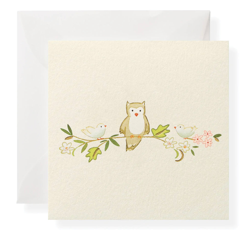 Owl Individual Gift Enclosure