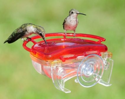 Gem Window Hummingbird Feeder