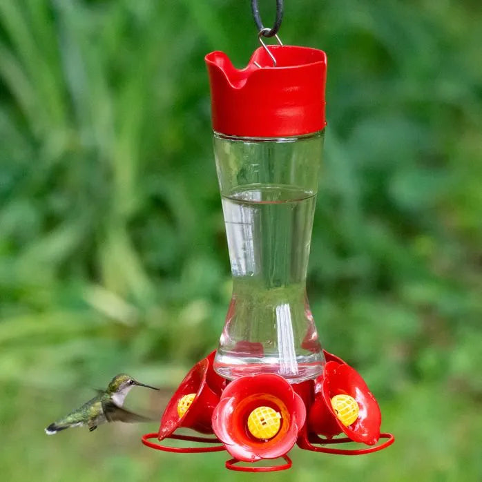 Favored Pinch-Waist Glass Hummingbird Feeder - Large