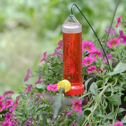 Hummingbird Feeder for Garden Planters and Baskets