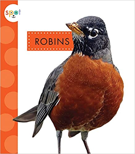 Robins: Spot Backyard Animals Book