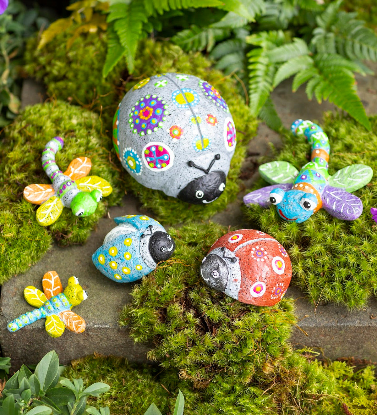 Ladybug/Dragonfly Rock Pet Ladybug/Dragonfly Rock Pet