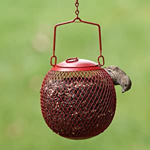 Perky-Pet Red Seed Ball