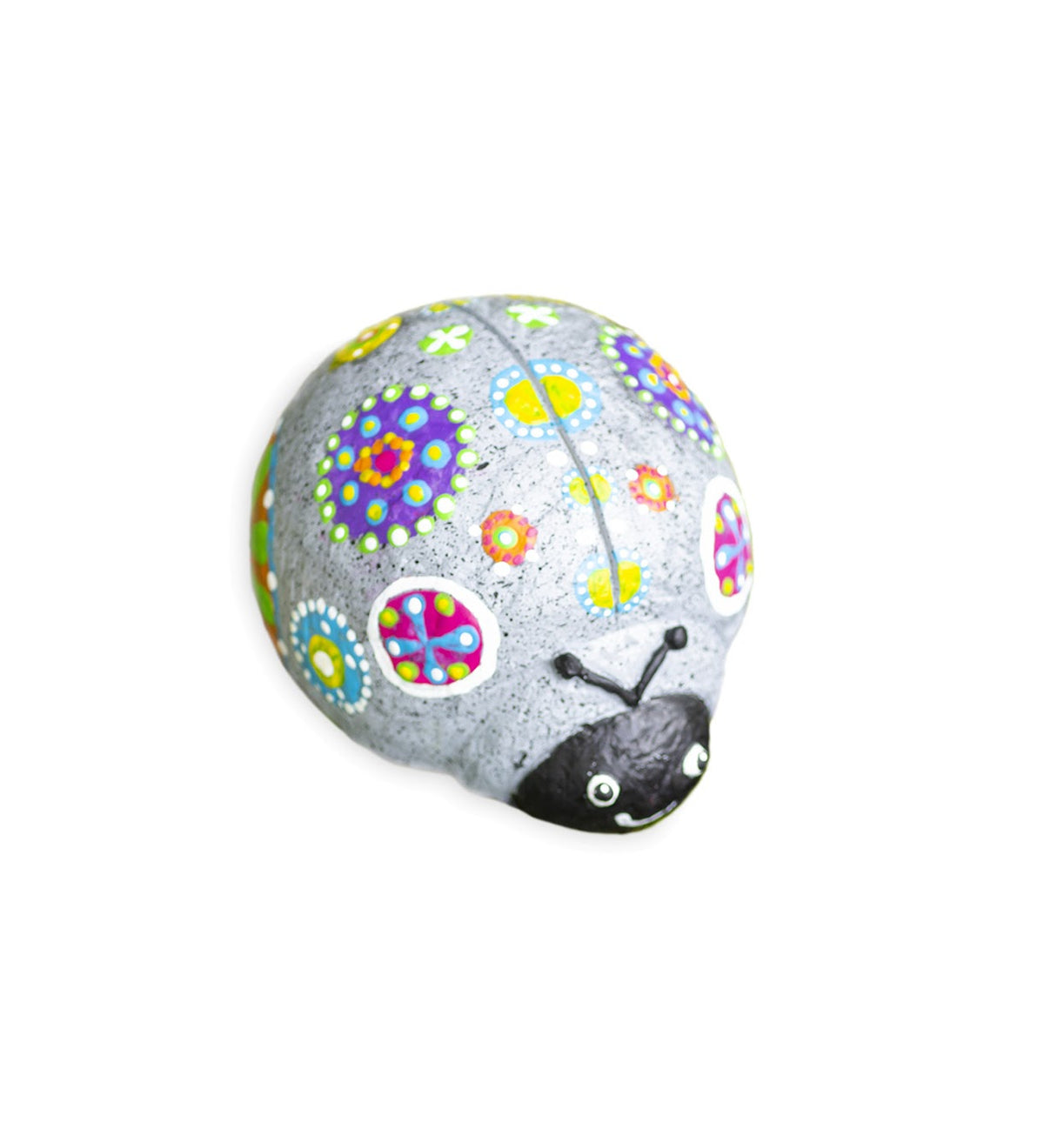 Ladybug/Dragonfly Rock Pet Ladybug/Dragonfly Rock Pet